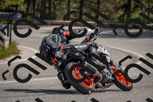 202509071344-DSC_9760_c4_