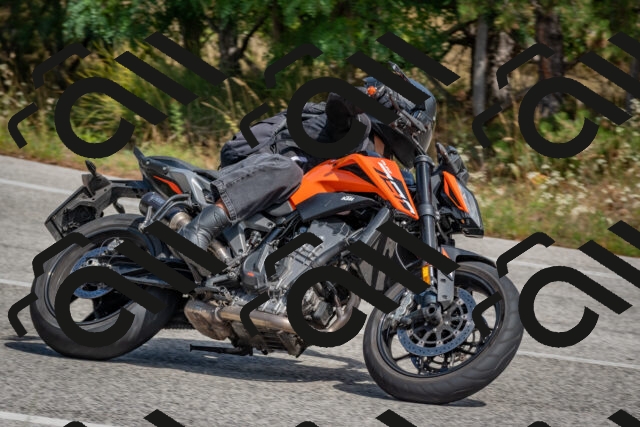 202509071344-DSC_9762_c4_