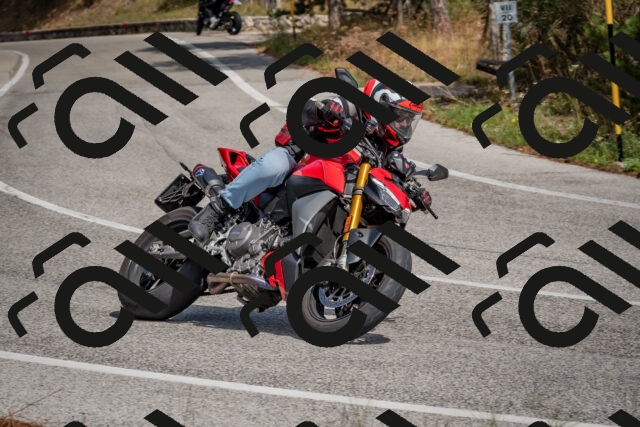 202509071344-DSC_9767_c4_