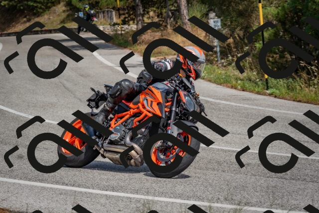 202509071344-DSC_9769_c4_