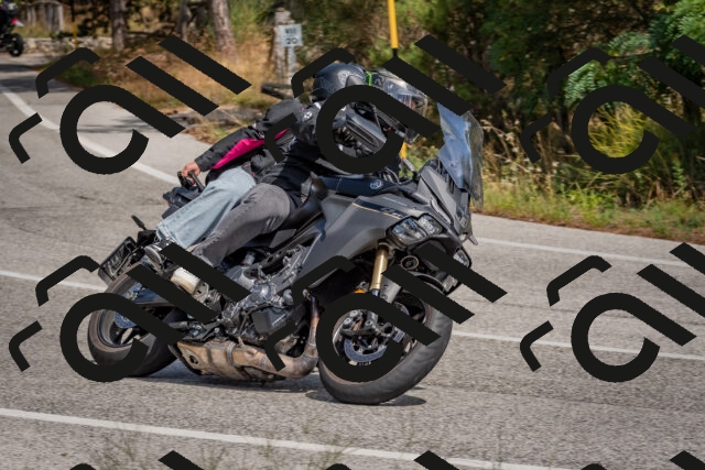 202509071344-DSC_9770_c4_