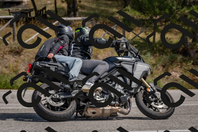 202509071344-DSC_9771_c4_