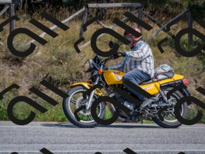 202509071345-DSC_9773_c4_