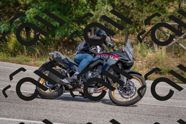 202509071345-DSC_9776_c4_