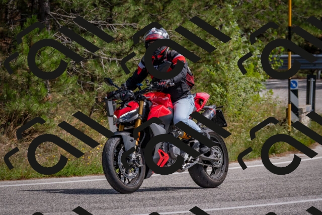 202509071345-DSC_9778_c4_