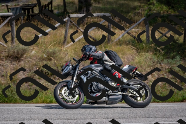 202509071345-DSC_9783_c4_