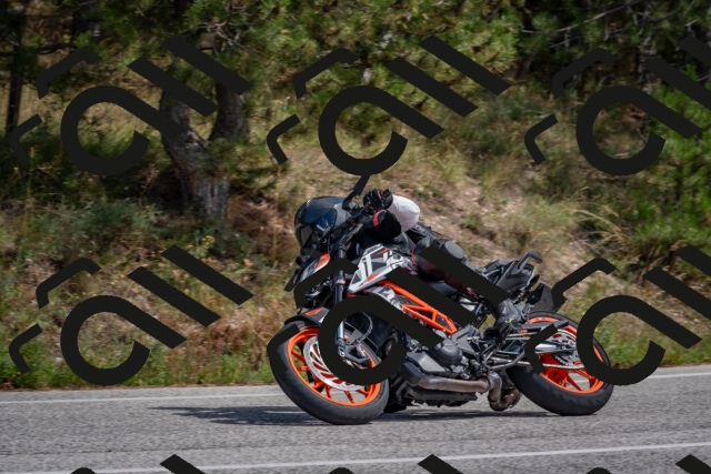 202509071346-DSC_9784_c4_