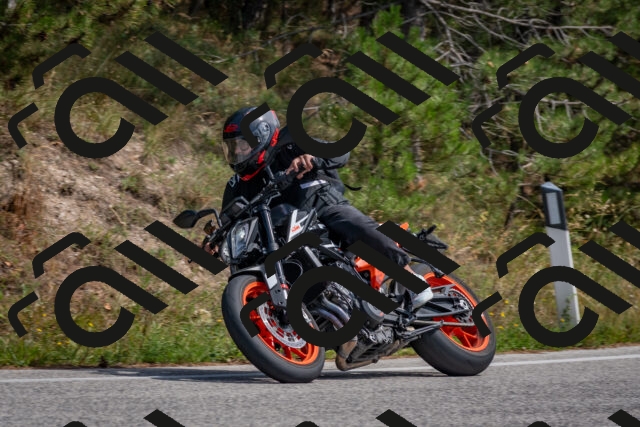 202509071346-DSC_9786_c4_