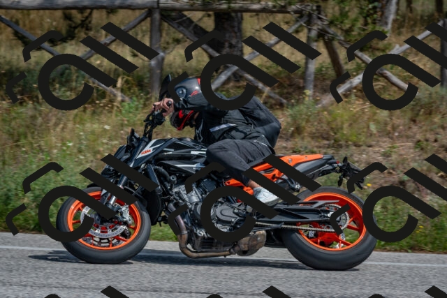 202509071346-DSC_9787_c4_