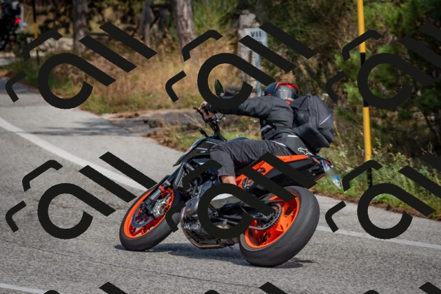 202509071346-DSC_9788_c4_