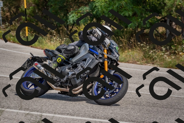 202509071346-DSC_9789_c4_