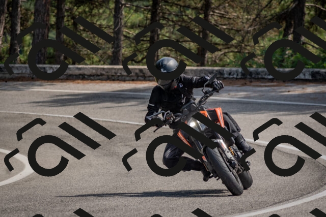 202509071346-DSC_9791_c4_