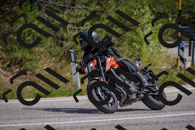 202509071346-DSC_9792_c4_