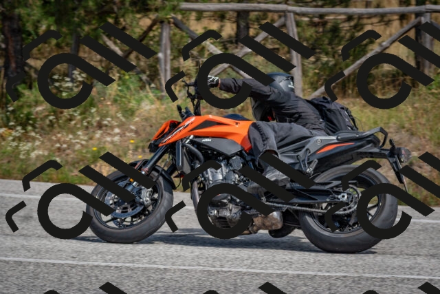 202509071346-DSC_9793_c4_