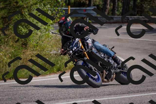 202509071346-DSC_9795_c4_