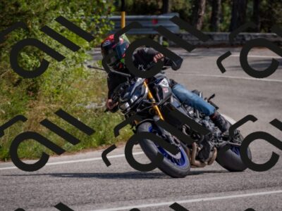 202509071346-DSC_9795_c4_