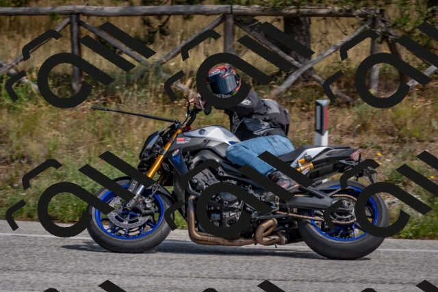 202509071346-DSC_9796_c4_