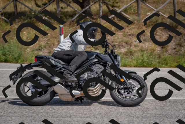 202509071347-DSC_9807_c4_