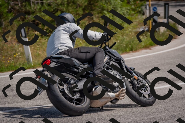 202509071347-DSC_9808_c4_