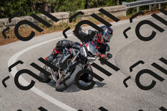 202509071347-DSC_9819_c4_