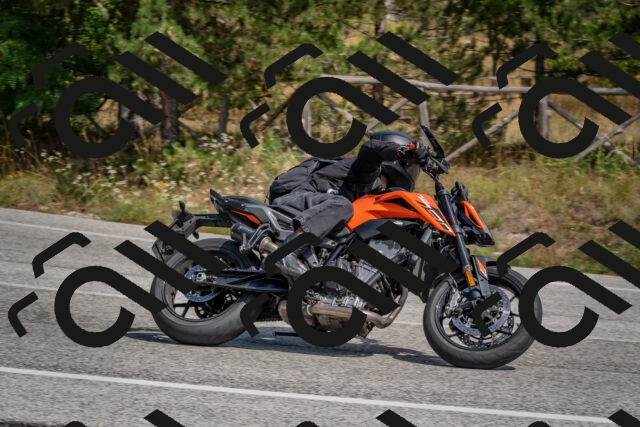 202509071347-DSC_9833_c4_