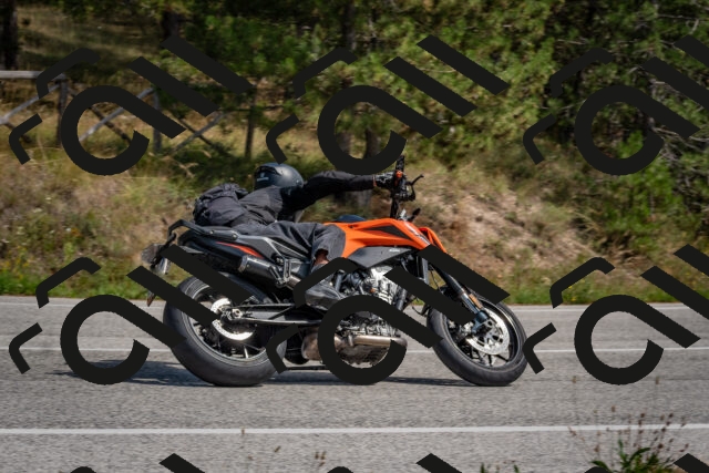 202509071347-DSC_9834_c4_