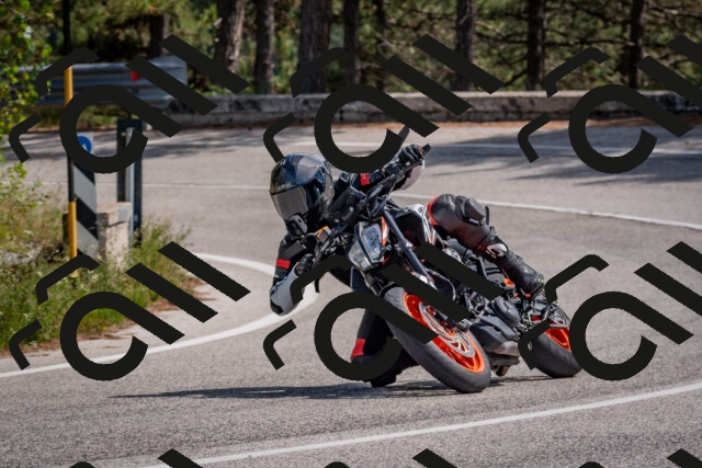 202509071347-DSC_9835_c4_