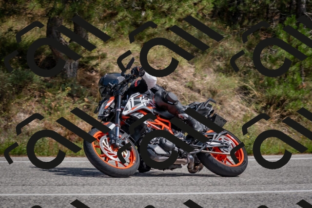 202509071347-DSC_9836_c4_