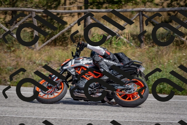 202509071347-DSC_9837_c4_