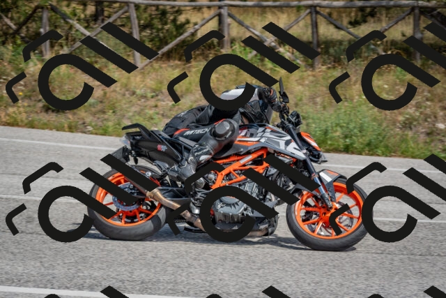 202509071348-DSC_9840_c4_