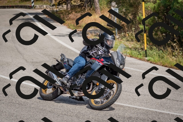 202509071348-DSC_9842_c4_