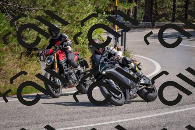 202509071348-DSC_9847_c4_