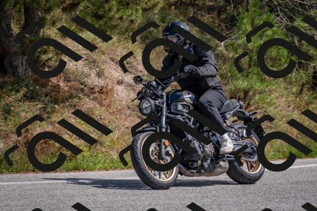 202509071348-DSC_9851_c4_