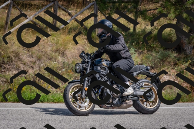 202509071348-DSC_9852_c4_