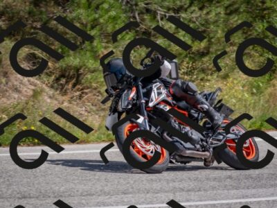 202509071349-DSC_9854_c4_