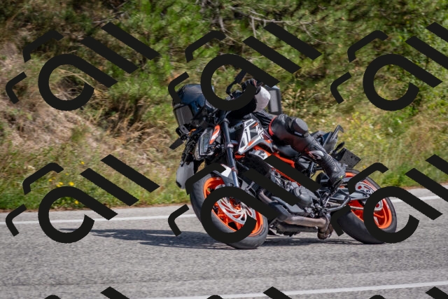 202509071349-DSC_9854_c4_