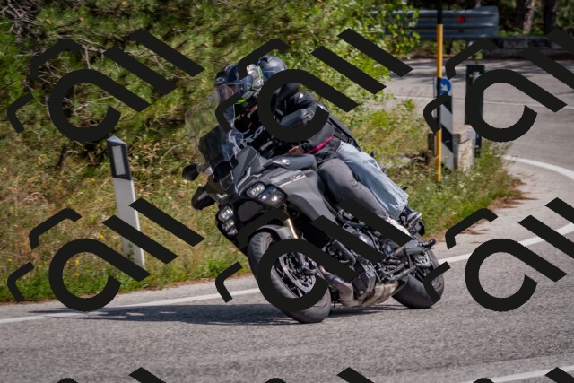 202509071350-DSC_9858_c4_