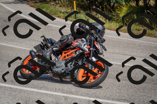 202509071350-DSC_9860_c4_