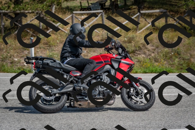 202509071351-DSC_9863_c4_