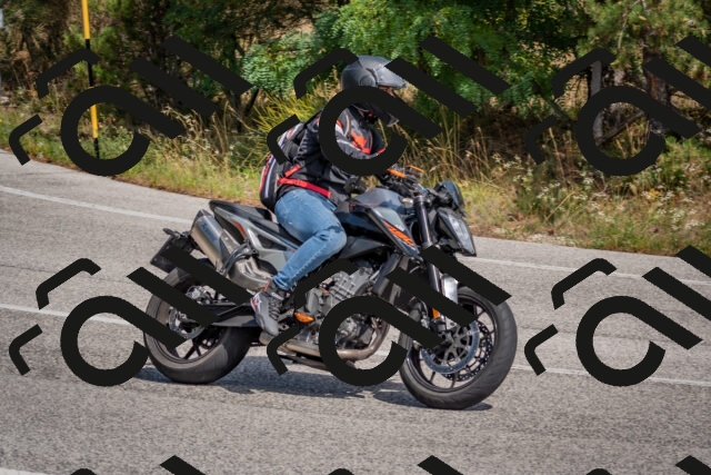 202509071351-DSC_9865_c4_