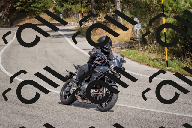 202509071351-DSC_9870_c4_