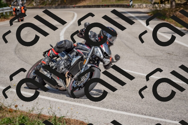 202509071351-DSC_9877_c4_