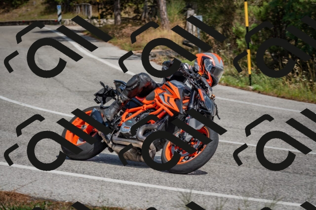 202509071351-DSC_9880_c4_