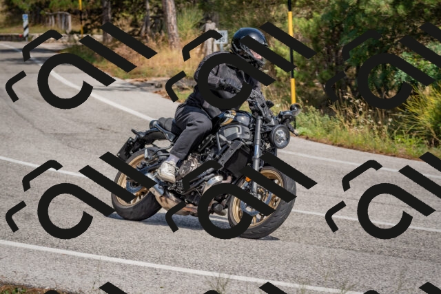 202509071351-DSC_9884_c4_