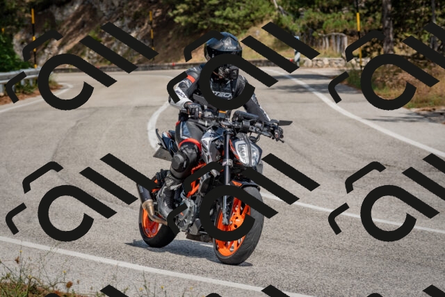 202509071352-DSC_9887_c4_