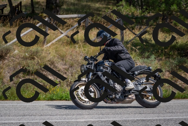 202509071352-DSC_9889_c4_