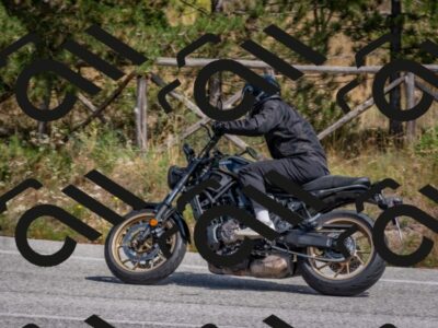 202509071352-DSC_9890_c4_