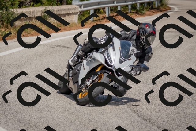 202509071353-DSC_9894_c4_