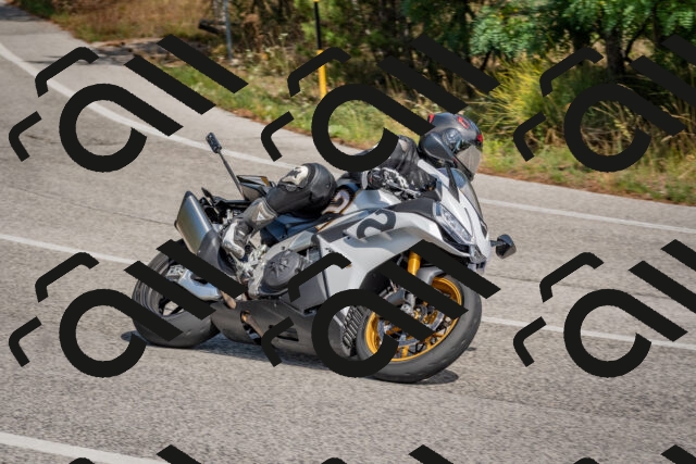 202509071353-DSC_9895_c4_