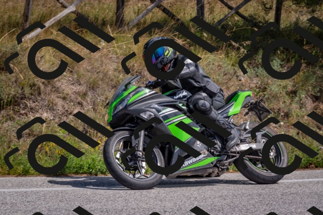 202509071354-DSC_9899_c4_